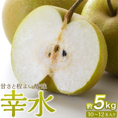 【2026年発送/先行予約】梨「幸水」約5kg(10～12玉入)【松崎果樹園】