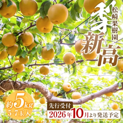 【2026年発送/先行予約】梨「新高」約5kg(5～7玉入)【松崎果樹園】宮城県　角田市産