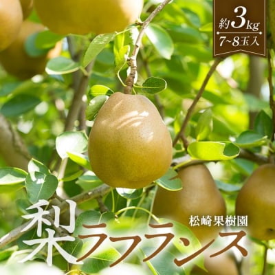 梨「ラ・フランス」約3kg(7～8玉入)【松崎果樹園】