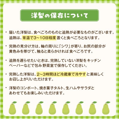 梨「ラ・フランス」約3kg(7～8玉入)【松崎果樹園】