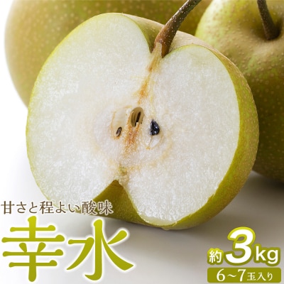 【2026年発送/先行予約】梨「幸水」約3kg(6～7玉入)【松崎果樹園】