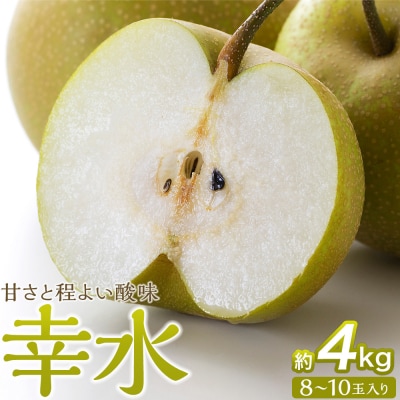 【2026年発送/先行予約】梨「幸水」約4kg(8～10玉入)【松崎果樹園】