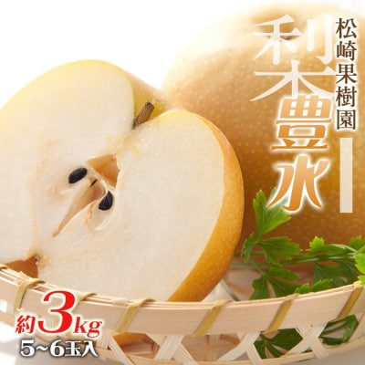 梨「豊水」約3kg(5～6玉入)【松崎果樹園】