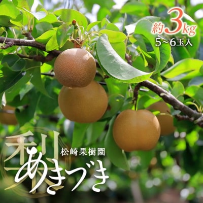 梨「あきづき」約3kg(5～6玉入)【松崎果樹園】