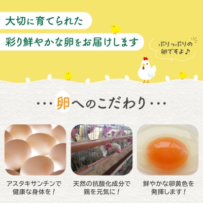 おおえだファーム アスタキサンチン卵(白卵)Lサイズ 30個入り