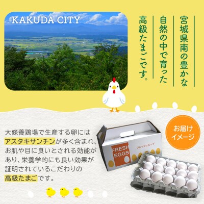 おおえだファーム アスタキサンチン卵(白卵)Lサイズ 60個入り