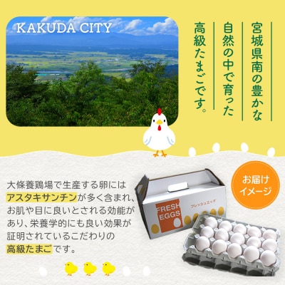 おおえだファーム アスタキサンチン卵(白卵)Lサイズ 60個入り