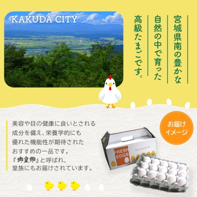 おおえだファーム アスタキサンチン卵(白卵)Lサイズ 60個入り