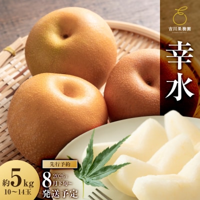 【2026年発送分先行予約】幸水 約5kg(10～14玉)8月下旬～順次発送【吉川果樹園】