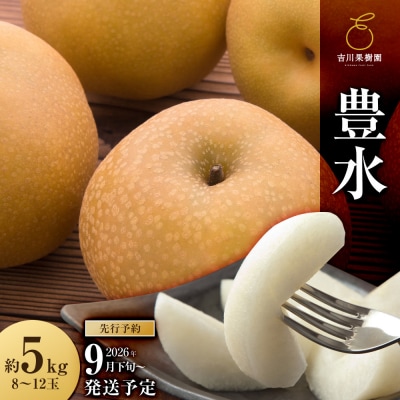 【2026年発送分先行予約】豊水 約5kg(8～12玉)9月下旬～順次発送【吉川果樹園】