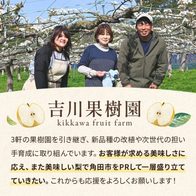 【2026年発送分先行予約】豊水 約5kg(8～12玉)9月下旬～順次発送【吉川果樹園】