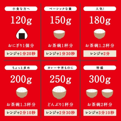 【120g×40食】パックごはん 低温製法米のおいしいごはん 