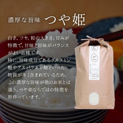 【2026年分先行予約】宮城県角田市産米【令和8年産】つや姫 10kg(5kg×2)