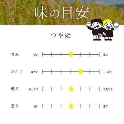 【2026年分先行予約】宮城県角田市産米【令和8年産】つや姫 5kg×1