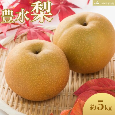 【JAみやぎ仙南】梨「豊水」約5kg (約10～14玉)