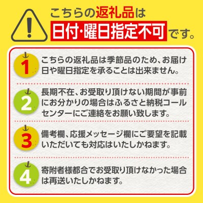 【JAみやぎ仙南】梨「豊水」約5kg (約10～14玉)