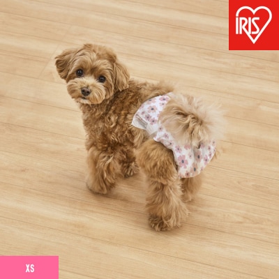 【38枚入り×6袋】ペット用おむつ　ピタフィット　XS　38枚入　女の子用　NPD-XS38