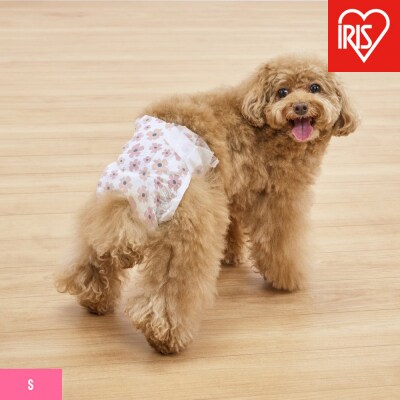 【36枚入り×6袋】ペット用おむつ　ピタフィット　S　36枚入　女の子用　　NPD-S36