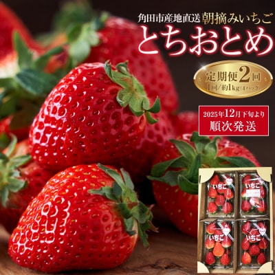 【定期便2回】【角田市産地直送】朝摘みいちご「とちおとめ」合計約1kg(250g×4パック)