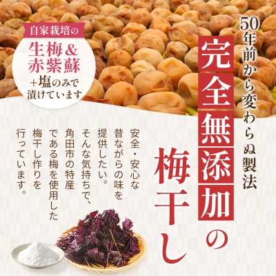 【先行予約】梅干し 800g 訳あり【10月上旬以降順次発送】わけあり 塩分 15 %