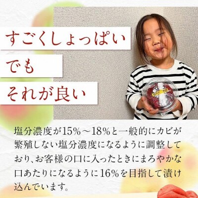 【先行予約】 まごころ手作り梅干し(270g)×2個【10月上旬以降順次発送】