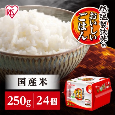 【250g×24食】パックごはん 低温製法米のおいしいごはん