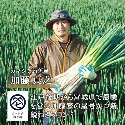 【角田市】カマシチねぎ屋 旬の甘ねぎ 2kg(約10本～17本)