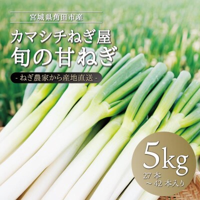【角田市】カマシチねぎ屋 旬の甘ねぎ 5kg(約27本～42本)
