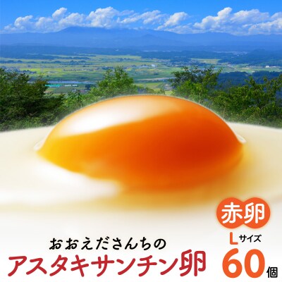 おおえだファーム アスタキサンチン卵(赤卵) Lサイズ 60個入り