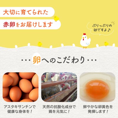 おおえだファーム アスタキサンチン卵(赤卵) Lサイズ 60個入り