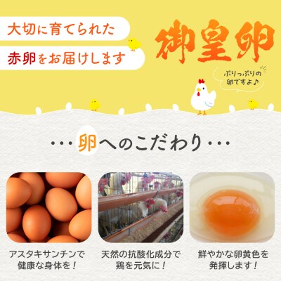 おおえだファーム アスタキサンチン卵(赤卵) Lサイズ 60個入り