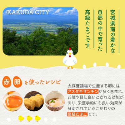 おおえだファーム アスタキサンチン卵(赤卵)Lサイズ 30個入り