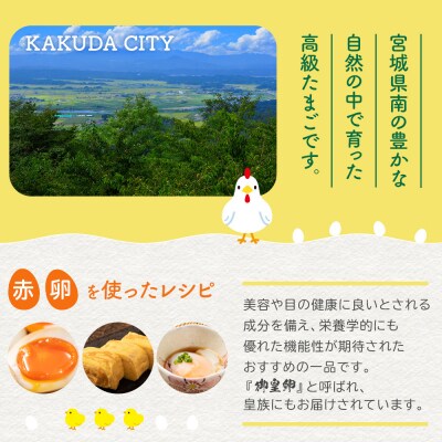 おおえだファーム アスタキサンチン卵(赤卵)Lサイズ 50個入り