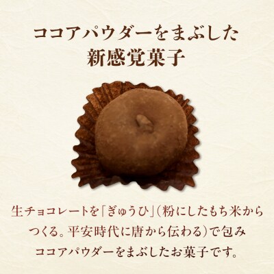 生ちょこ大福 12個入×2箱 