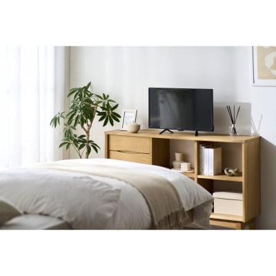 チューナーレスTV 24V型 LTL-24WG-F1 ブラック