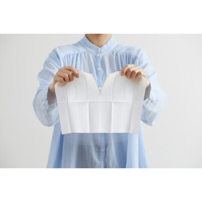 【10枚入り×24個】トルクリーン　トイレクリーナー厚手　 T-TA20　20枚入×12個