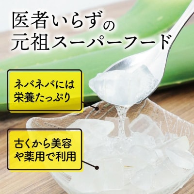 【食用】朝採り アロエベラ生葉 4kg(4枚～8枚)3年物　宮城県産