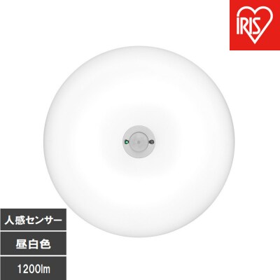 LED小型シーリングライト 人感センサー付 　昼白色 SCL12N-MS-U2