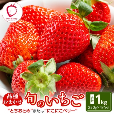 OneBerry いちご農園品種おまかせ 旬のいちご 250g× 4P 2026年1月5日以降順次