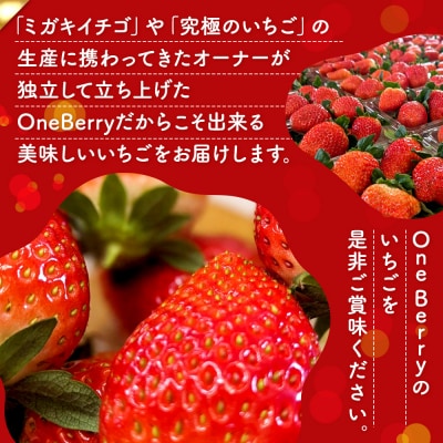 OneBerry いちご農園品種おまかせ 旬のいちご 250g× 4P 2026年1月5日以降順次