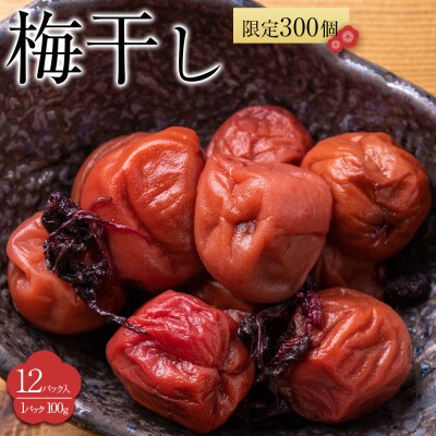 角田市 岸浪園　梅干し 100g×12パック 限定300個
