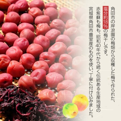 【2026年1月下旬より発送】梅干し 100g 12パック入り 限定300個