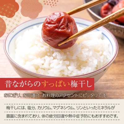 梅干し 100g 12パック入り 限定300個