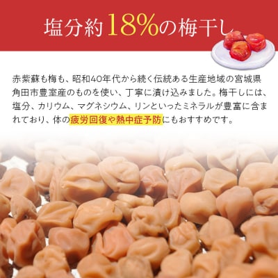 【2026年1月下旬より発送】梅干し種なし身割れ3kg(1kg×3パック超お得パッケージ限定400個