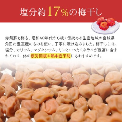 角田市 岸浪園　梅干し 種なし身割れ 3kg(1kg×3パック)超お得パッケージ 限定400個
