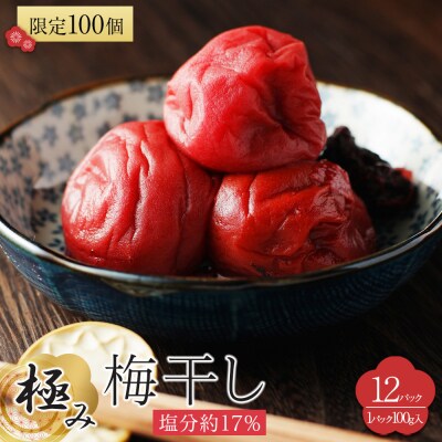 角田市 岸浪園 極み梅干し 塩分約17% 100g×12パック 限定100個