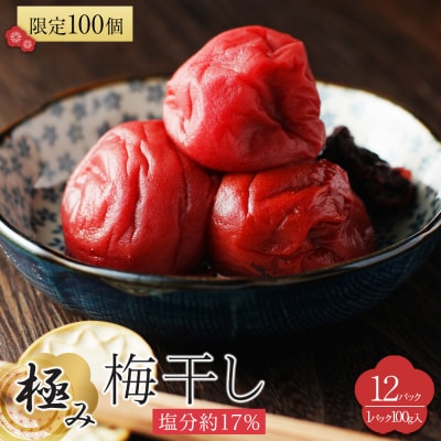 角田市 岸浪園 極み梅干し 塩分約17% 100g×12パック 限定100個