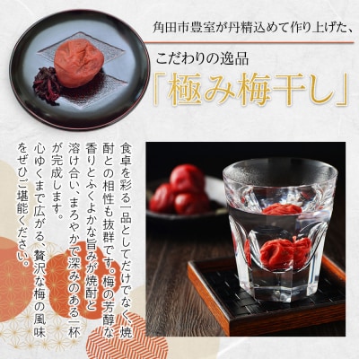 角田市 岸浪園 極み梅干し 塩分約17% 100g×12パック 限定100個