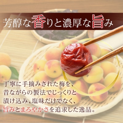 【2026年1月下旬より発送】梅干し 贈答用1.2kg 塩分約18% 限定30個
