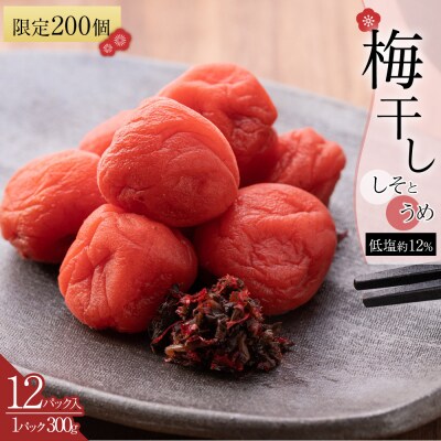 角田市 岸浪園 梅干し しそとうめ 低塩約12% 300g 12パック入り 限定200個